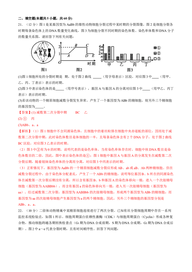 专题三细胞的生命历程（解析版）_2025年新高考资料_二轮复习_01高考语文等多个文件_上好课2025年高考生物二轮复习讲练测（新高考通用）