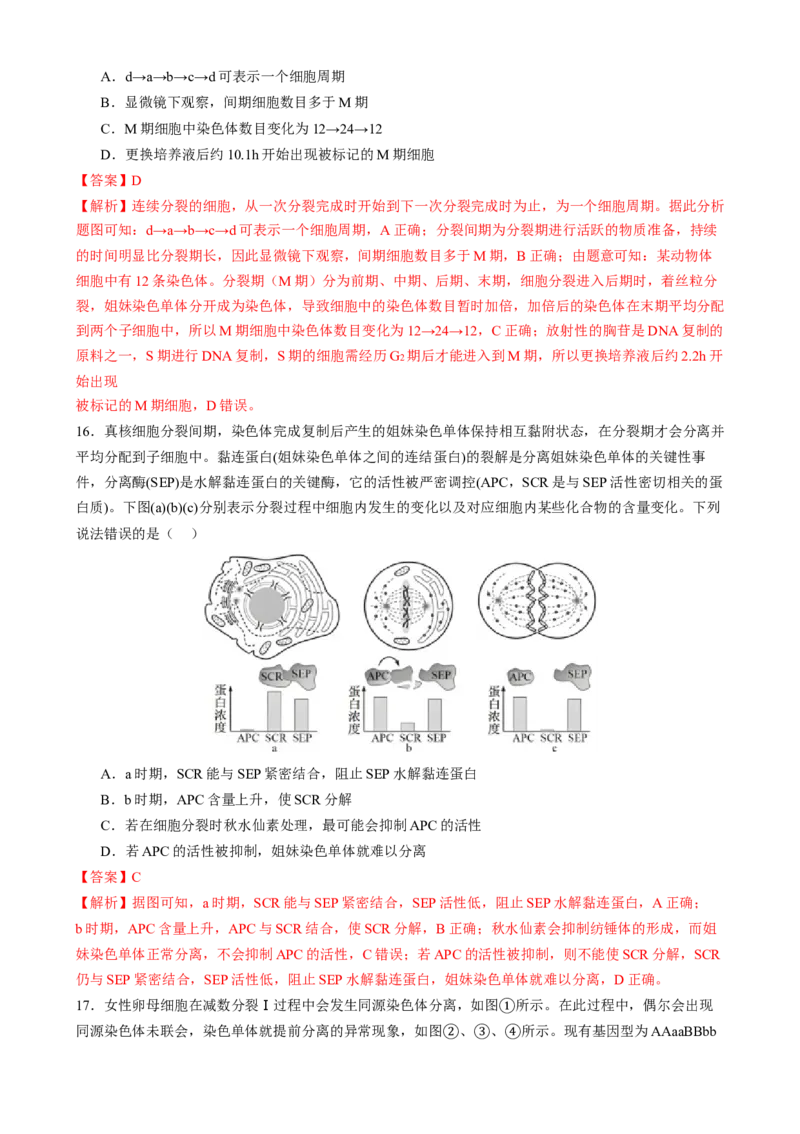 专题三细胞的生命历程（解析版）_2025年新高考资料_二轮复习_01高考语文等多个文件_上好课2025年高考生物二轮复习讲练测（新高考通用）