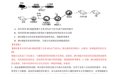 专题三细胞的生命历程（解析版）_2025年新高考资料_二轮复习_01高考语文等多个文件_上好课2025年高考生物二轮复习讲练测（新高考通用）