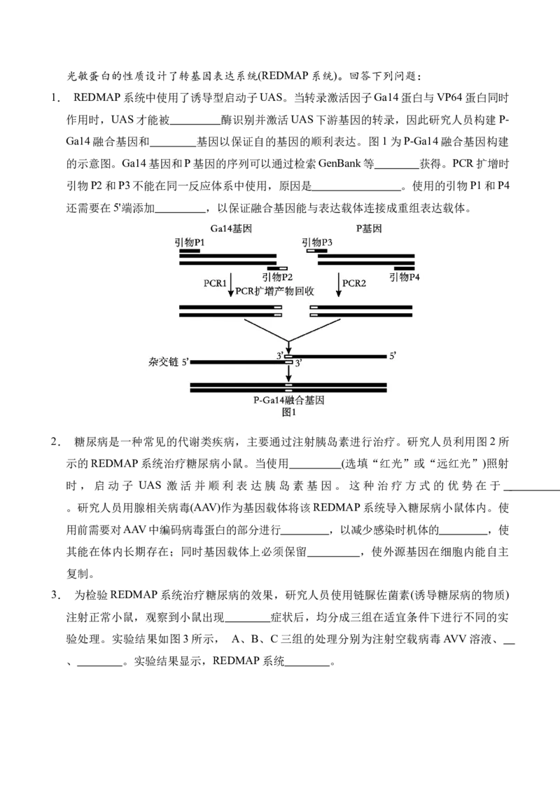信息必刷卷01（上海专用）原卷版_2025年新高考资料_2025考前信息卷_2025年高考生物考前信息必刷卷（上海专用）3443034