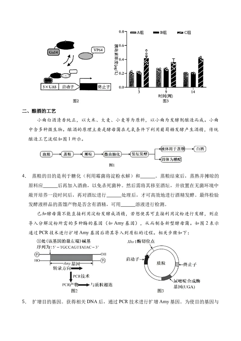 信息必刷卷01（上海专用）原卷版_2025年新高考资料_2025考前信息卷_2025年高考生物考前信息必刷卷（上海专用）3443034