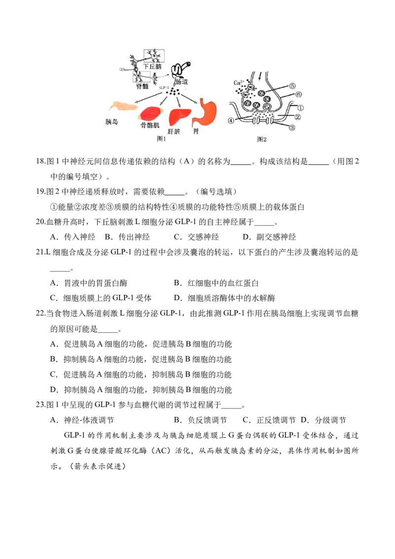 信息必刷卷01（上海专用）原卷版_2025年新高考资料_2025考前信息卷_2025年高考生物考前信息必刷卷（上海专用）3443034
