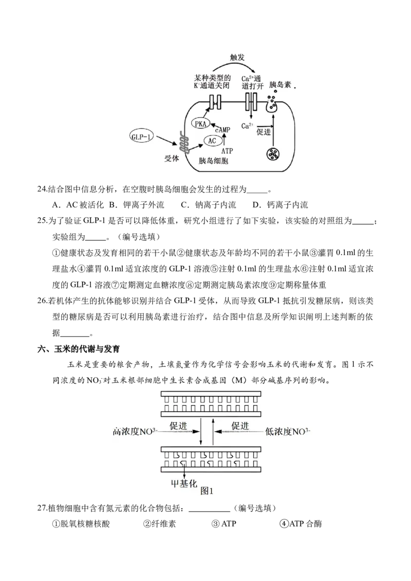 信息必刷卷01（上海专用）原卷版_2025年新高考资料_2025考前信息卷_2025年高考生物考前信息必刷卷（上海专用）3443034