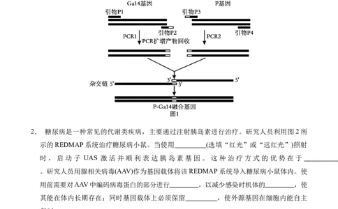 信息必刷卷01（上海专用）原卷版_2025年新高考资料_2025考前信息卷_2025年高考生物考前信息必刷卷（上海专用）3443034
