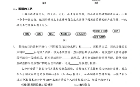 信息必刷卷01（上海专用）原卷版_2025年新高考资料_2025考前信息卷_2025年高考生物考前信息必刷卷（上海专用）3443034