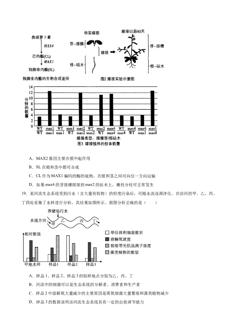 信息必刷卷03（黑吉辽蒙专用）（原卷版）_2025年新高考资料_2025考前信息卷_2025年高考生物考前信息必刷卷（黑吉辽蒙专用）34415095