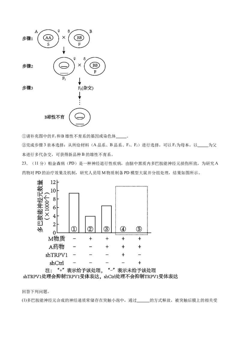 信息必刷卷03（黑吉辽蒙专用）（原卷版）_2025年新高考资料_2025考前信息卷_2025年高考生物考前信息必刷卷（黑吉辽蒙专用）34415095
