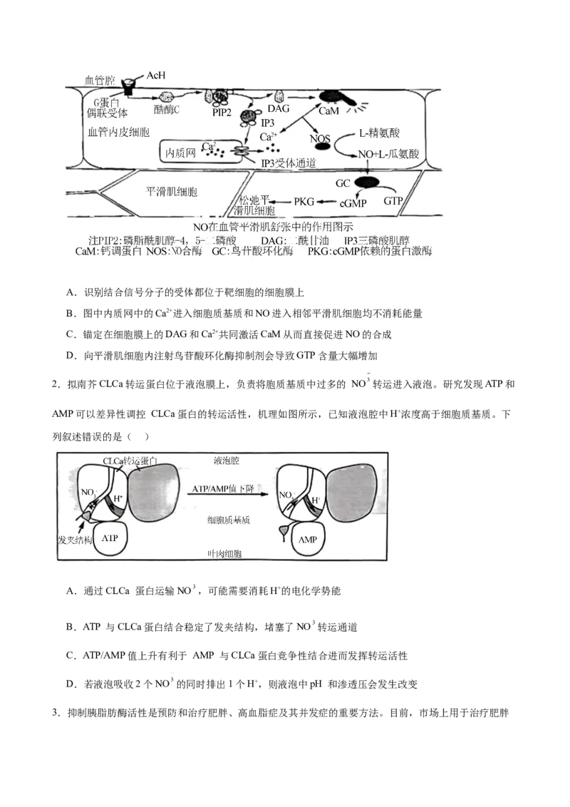信息必刷卷03（黑吉辽蒙专用）（原卷版）_2025年新高考资料_2025考前信息卷_2025年高考生物考前信息必刷卷（黑吉辽蒙专用）34415095