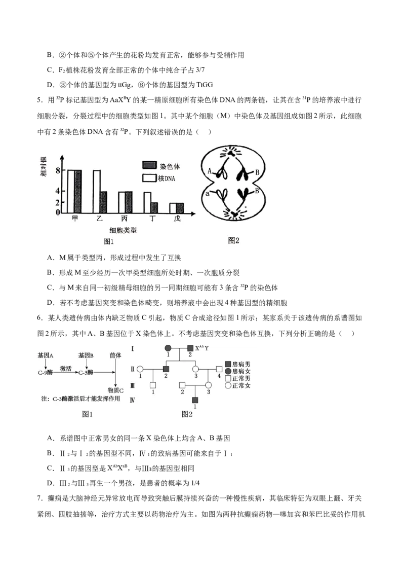 信息必刷卷03（黑吉辽蒙专用）（原卷版）_2025年新高考资料_2025考前信息卷_2025年高考生物考前信息必刷卷（黑吉辽蒙专用）34415095