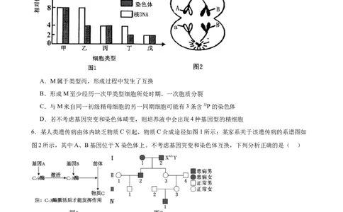 信息必刷卷03（黑吉辽蒙专用）（原卷版）_2025年新高考资料_2025考前信息卷_2025年高考生物考前信息必刷卷（黑吉辽蒙专用）34415095