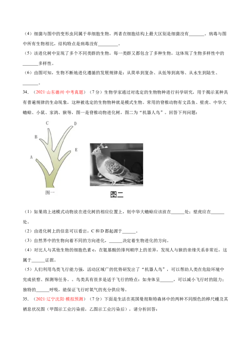 第07单元第03章生命起源和生物进化单元测试（A卷&middot;夯实基础）（原卷版）_初中全科电子版试卷练习试题_生物_生物8下练习_人教生物8年级下单元试卷38份