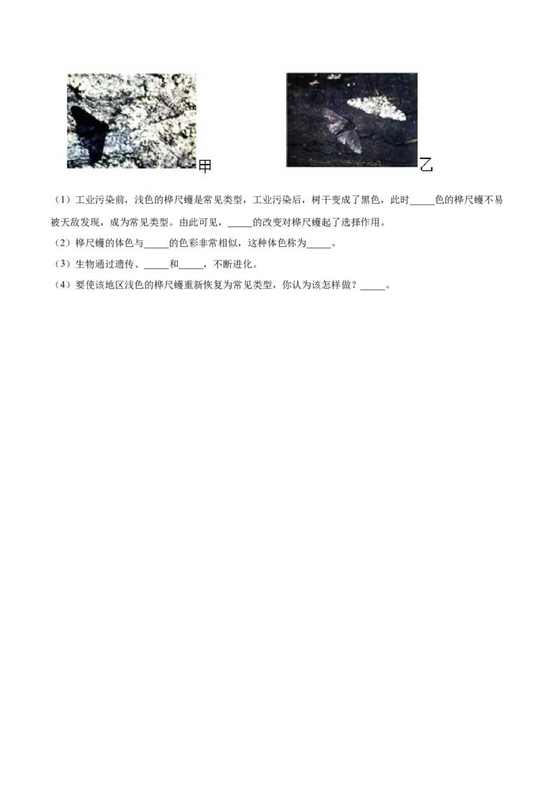 第07单元第03章生命起源和生物进化单元测试（A卷&middot;夯实基础）（原卷版）_初中全科电子版试卷练习试题_生物_生物8下练习_人教生物8年级下单元试卷38份