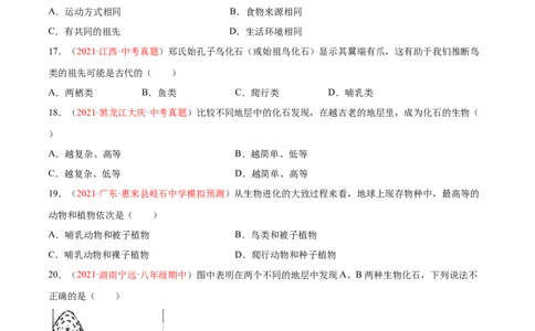 第07单元第03章生命起源和生物进化单元测试（A卷&middot;夯实基础）（原卷版）_初中全科电子版试卷练习试题_生物_生物8下练习_人教生物8年级下单元试卷38份