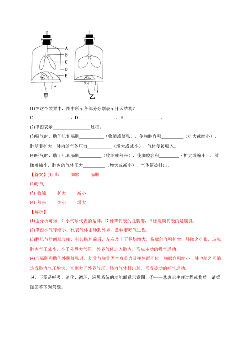 第三单元人体的呼吸（提分小卷）-单元测试（人教版）（解析版）_初中全科电子版试卷练习试题_生物_生物人教版7下练习_人教生物7年级下单元试卷33份