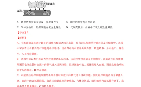 第三单元人体的呼吸（提分小卷）-单元测试（人教版）（解析版）_初中全科电子版试卷练习试题_生物_生物人教版7下练习_人教生物7年级下单元试卷33份