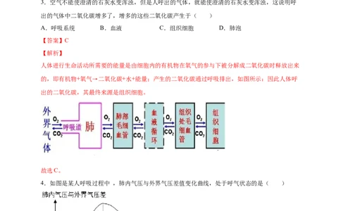 第三单元人体的呼吸（提分小卷）-单元测试（人教版）（解析版）_初中全科电子版试卷练习试题_生物_生物人教版7下练习_人教生物7年级下单元试卷33份