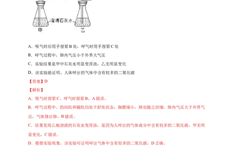 第三单元人体的呼吸（提分小卷）-单元测试（人教版）（解析版）_初中全科电子版试卷练习试题_生物_生物人教版7下练习_人教生物7年级下单元试卷33份