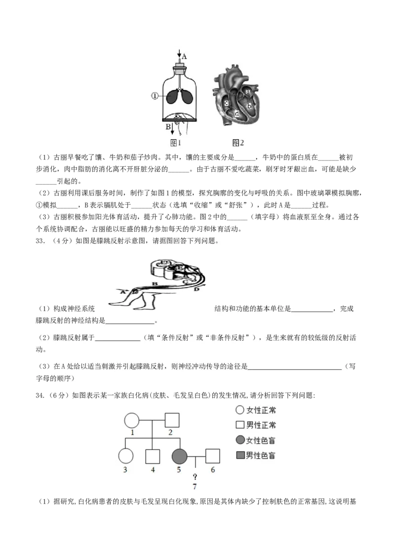 生物（新疆卷）（考试版A4）_初中全科电子版试卷练习试题_生物_2024中考模拟题生物(1)_三模（37套）_生物（新疆卷）