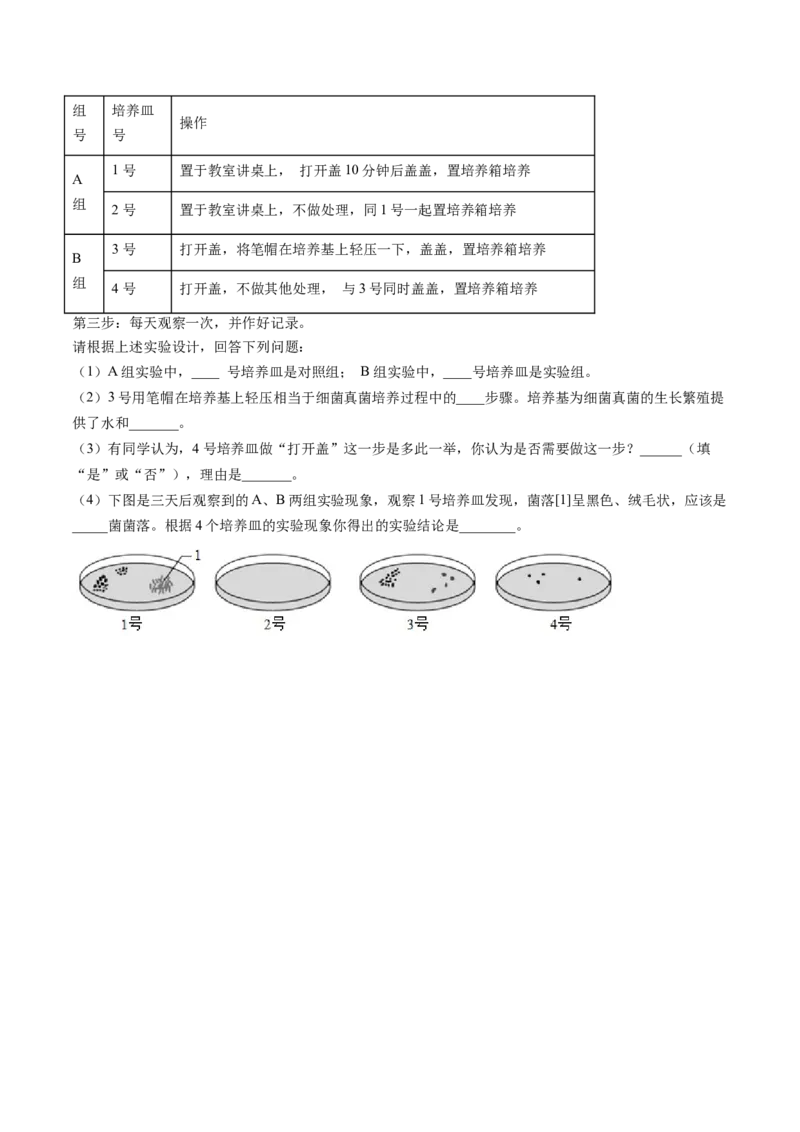 生物（新疆卷）（考试版A4）_初中全科电子版试卷练习试题_生物_2024中考模拟题生物(1)_三模（37套）_生物（新疆卷）