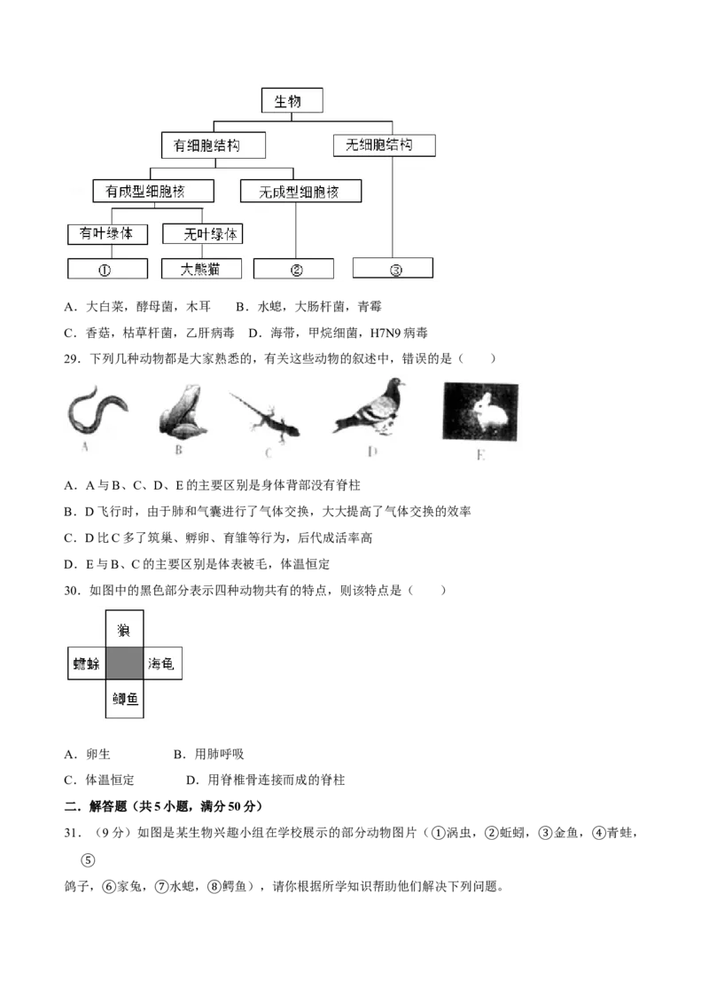 八年级上册生物期中测试01（原卷版）_初中全科电子版试卷练习试题_生物_生物8上练习_人教生物8年级上期中试卷08份