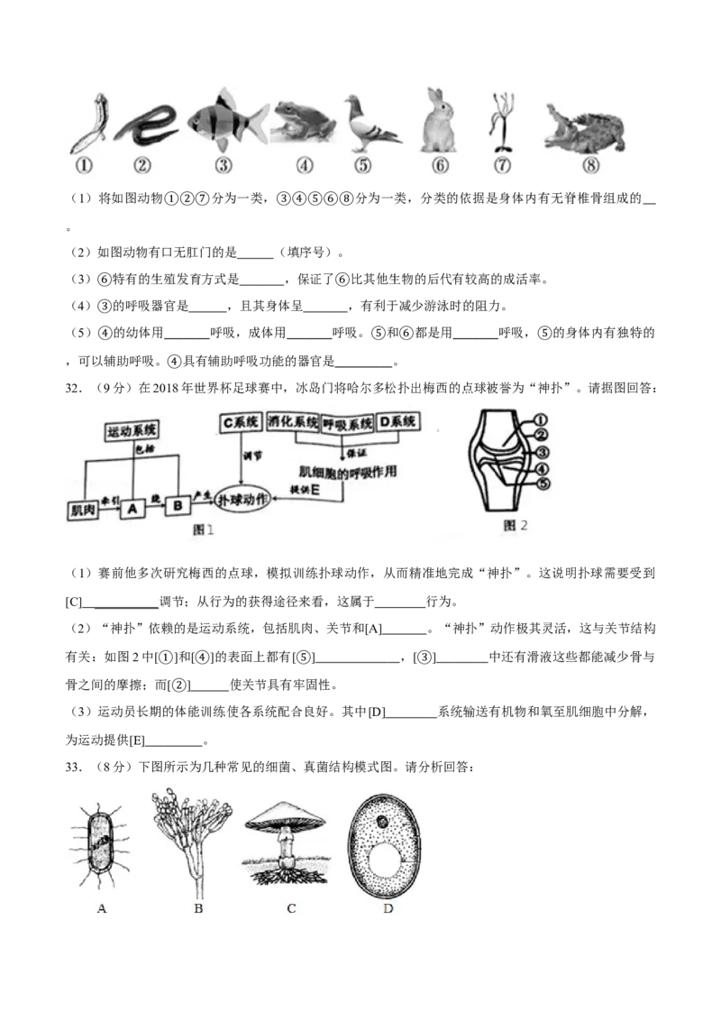 八年级上册生物期中测试01（原卷版）_初中全科电子版试卷练习试题_生物_生物8上练习_人教生物8年级上期中试卷08份