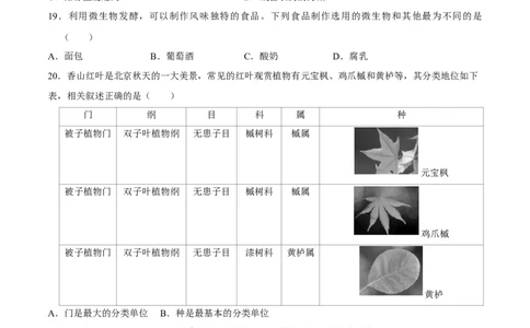 八年级上册生物期中测试01（原卷版）_初中全科电子版试卷练习试题_生物_生物8上练习_人教生物8年级上期中试卷08份