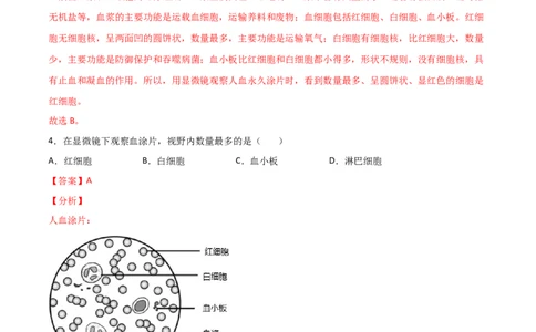 探究题04观察人血永久涂片-七年级生物下册教材实验探究必刷题（人教版）（解析版）_初中全科电子版试卷练习试题_生物_生物人教版7下练习_人教生物7年级下专项练习16份