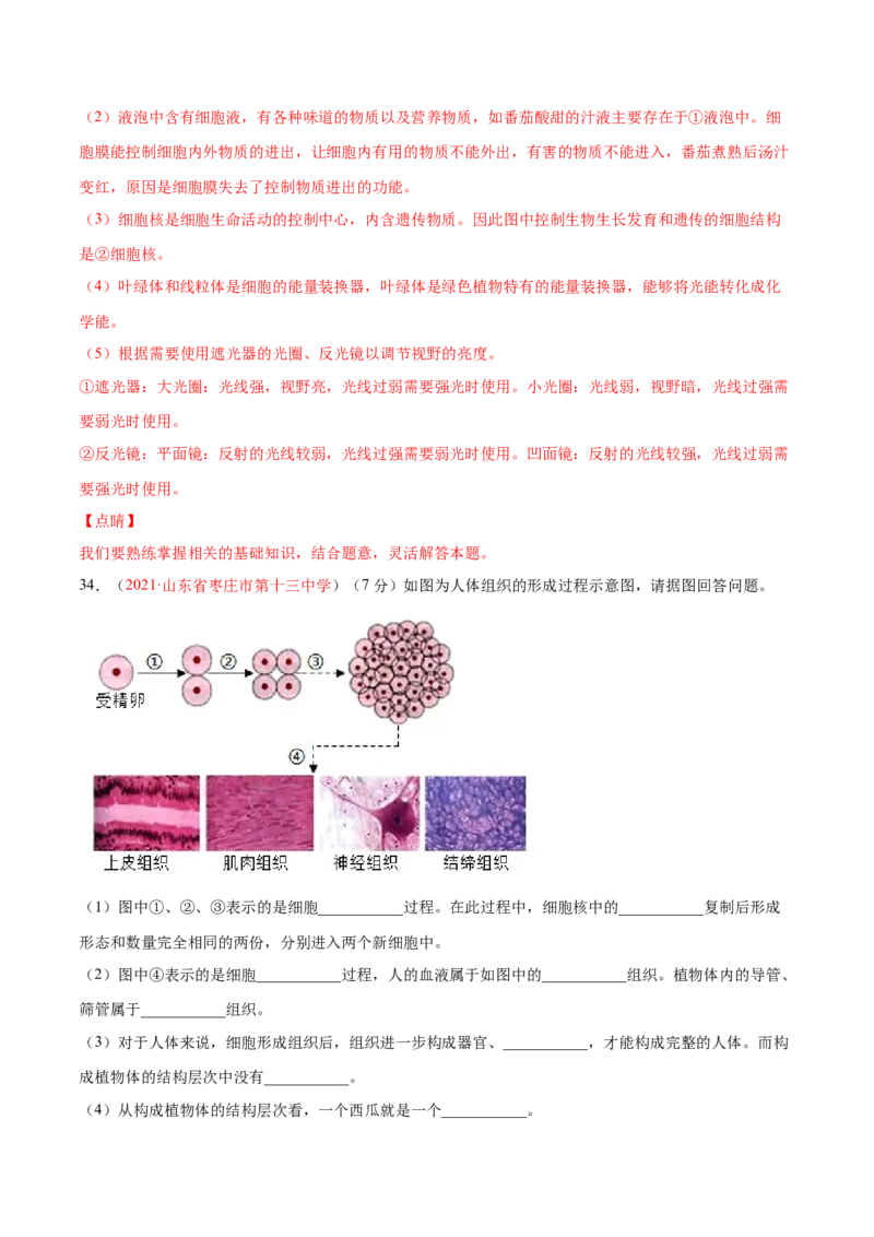 期中测试（A卷&middot;夯实基础）（解析版）_初中全科电子版试卷练习试题_生物_生物人教版7上练习&mdash;24新版已更新_人教生物7年级上期中试卷07份