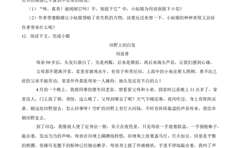 第24课带上她的眼睛（原卷版）-七年级语文下册课后培优练（部编版）_初中全科电子版试卷练习试题_语文_7下初中部编版语文练习、试卷_部编语文七年级下课时练习（049份）_第1套