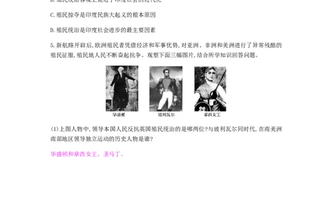 九年级历史下册第一单元殖民地人民的反抗与资本主义制度的扩展课时作业新人教版_初中全科电子版试卷练习试题_历史_历史人教版9下试卷_部编人教版历史9年级下同步练习110份