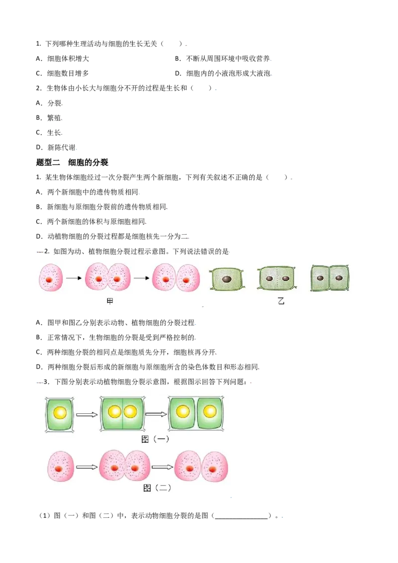必考点10细胞通过分裂产生新细胞-（人教版）（原卷版）_初中全科电子版试卷练习试题_生物_生物人教版7上练习&mdash;24新版已更新_人教生物7年级上专项练习28份