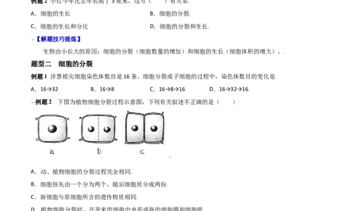 必考点10细胞通过分裂产生新细胞-（人教版）（原卷版）_初中全科电子版试卷练习试题_生物_生物人教版7上练习&mdash;24新版已更新_人教生物7年级上专项练习28份