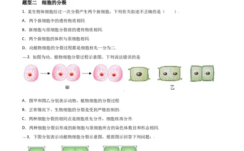 必考点10细胞通过分裂产生新细胞-（人教版）（原卷版）_初中全科电子版试卷练习试题_生物_生物人教版7上练习&mdash;24新版已更新_人教生物7年级上专项练习28份