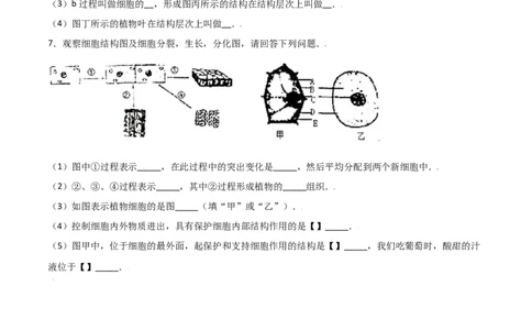 必考点10细胞通过分裂产生新细胞-（人教版）（原卷版）_初中全科电子版试卷练习试题_生物_生物人教版7上练习&mdash;24新版已更新_人教生物7年级上专项练习28份