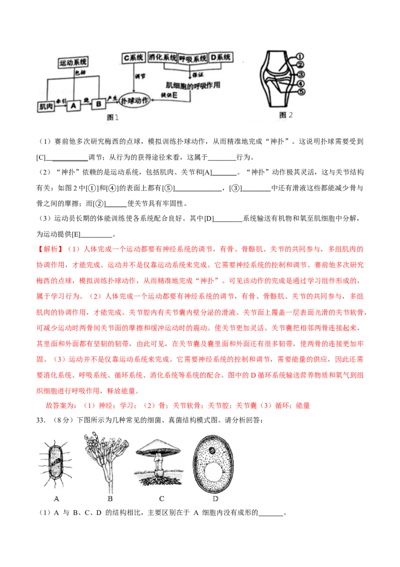 八年级上册生物期中测试01（解析版）_初中全科电子版试卷练习试题_生物_生物8上练习_人教生物8年级上期中试卷08份
