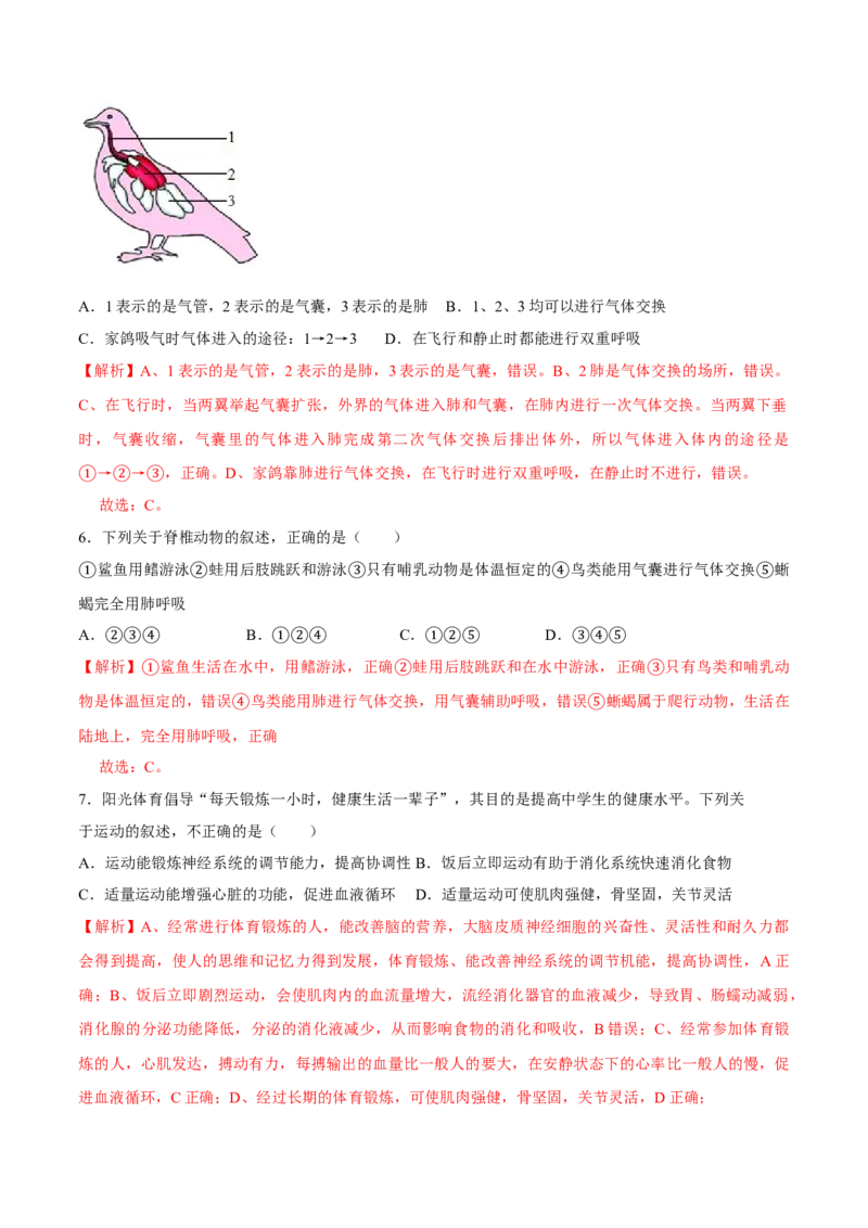 八年级上册生物期中测试01（解析版）_初中全科电子版试卷练习试题_生物_生物8上练习_人教生物8年级上期中试卷08份
