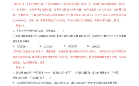 八年级上册生物期中测试01（解析版）_初中全科电子版试卷练习试题_生物_生物8上练习_人教生物8年级上期中试卷08份