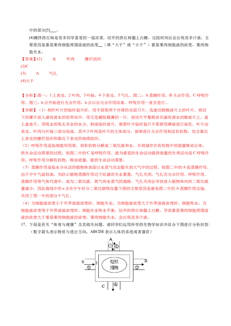 生物（南通卷）（全解全析）_初中全科电子版试卷练习试题_生物_2024中考模拟题生物(1)_三模（37套）_生物（南通卷）