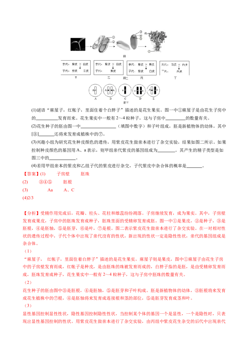 生物（南通卷）（全解全析）_初中全科电子版试卷练习试题_生物_2024中考模拟题生物(1)_三模（37套）_生物（南通卷）