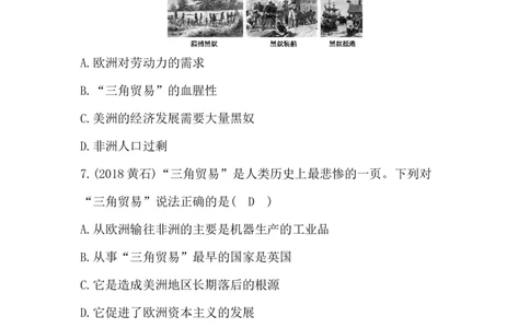 人教部编版九年级历史上册同步训练：第16课　早期殖民掠夺_初中全科电子版试卷练习试题_历史_历史人教版9上试卷_部编人教版历史9年级上同步练习118份_同步练习（第六套）