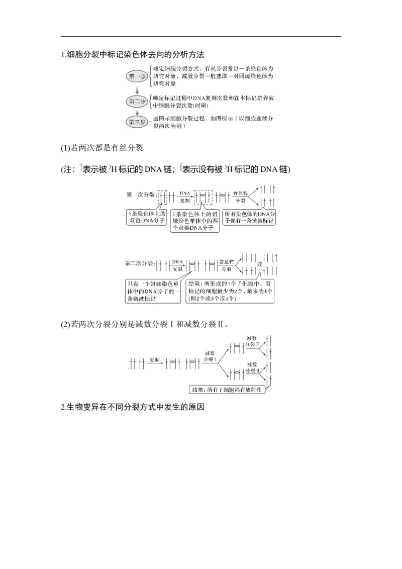 专题三细胞的生命历程（解析版）_新高考复习资料_2023年新高考复习资料_二轮复习_过二轮备战2023年高考生物二轮专题剖析与综合训练（新教材）