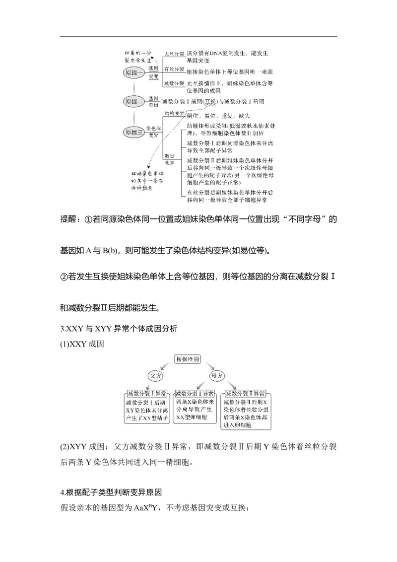 专题三细胞的生命历程（解析版）_新高考复习资料_2023年新高考复习资料_二轮复习_过二轮备战2023年高考生物二轮专题剖析与综合训练（新教材）