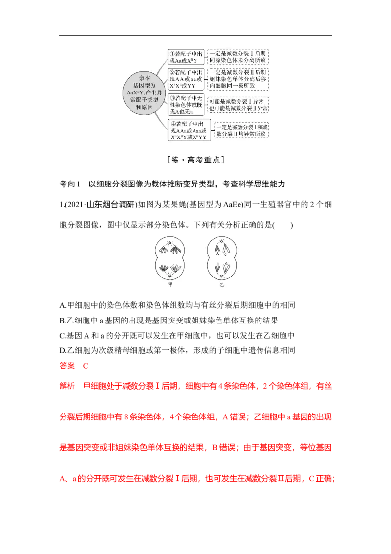 专题三细胞的生命历程（解析版）_新高考复习资料_2023年新高考复习资料_二轮复习_过二轮备战2023年高考生物二轮专题剖析与综合训练（新教材）