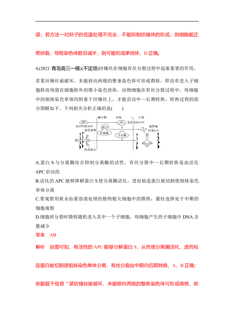 专题三细胞的生命历程（解析版）_新高考复习资料_2023年新高考复习资料_二轮复习_过二轮备战2023年高考生物二轮专题剖析与综合训练（新教材）