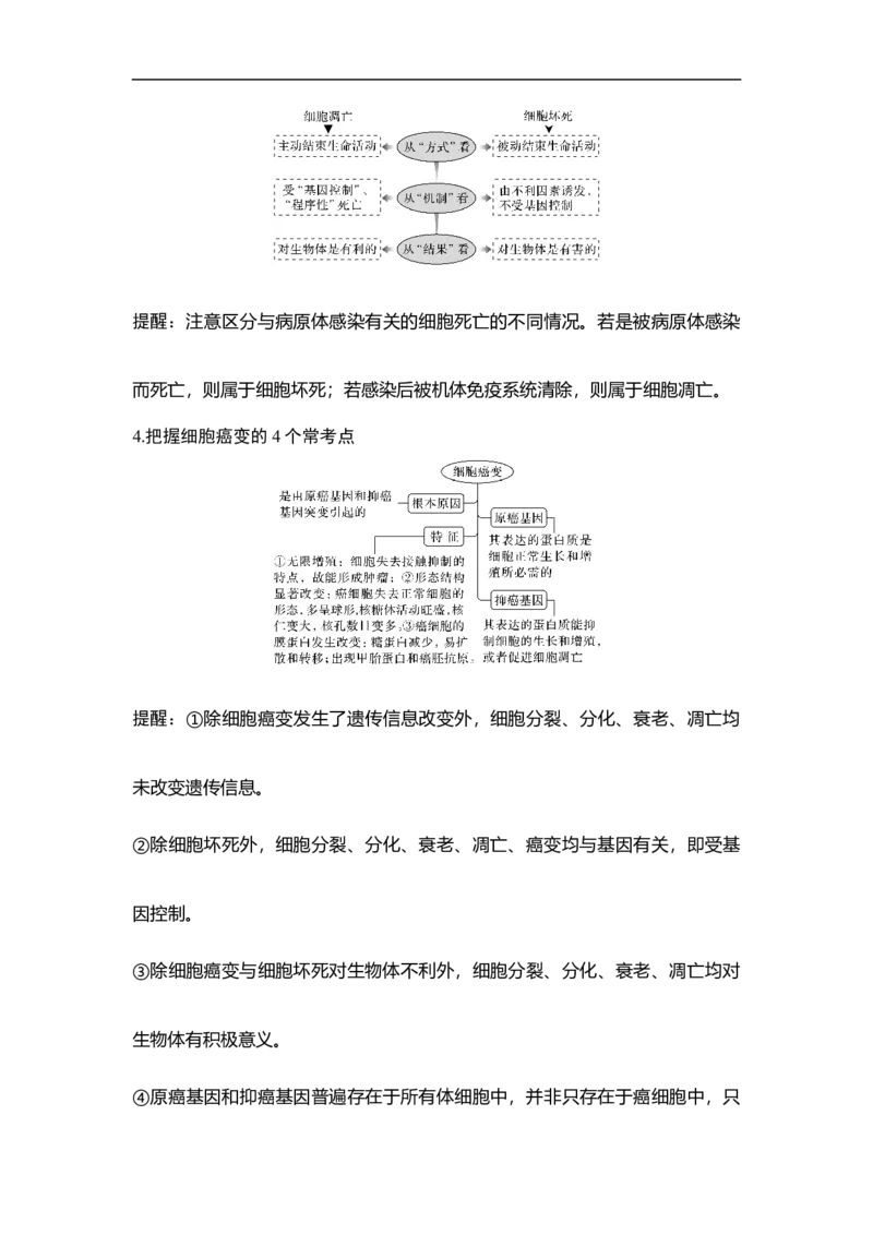 专题三细胞的生命历程（解析版）_新高考复习资料_2023年新高考复习资料_二轮复习_过二轮备战2023年高考生物二轮专题剖析与综合训练（新教材）