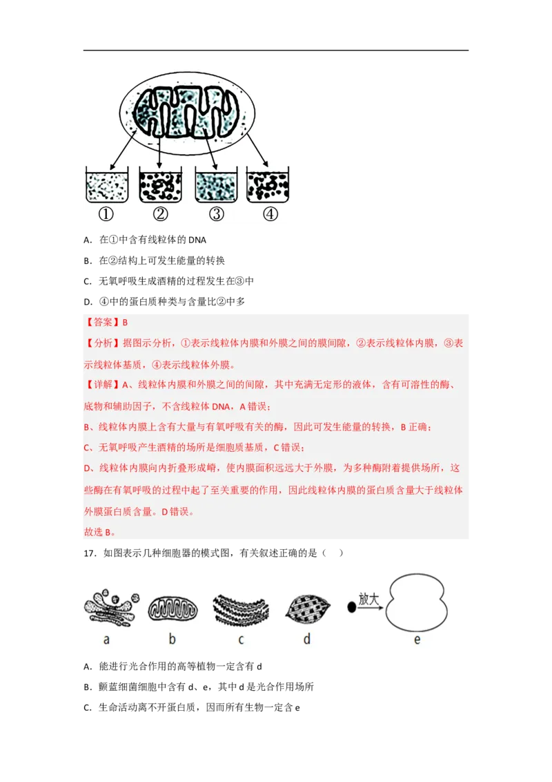 专题三细胞的生命历程（解析版）_新高考复习资料_2023年新高考复习资料_二轮复习_过二轮备战2023年高考生物二轮专题剖析与综合训练（新教材）