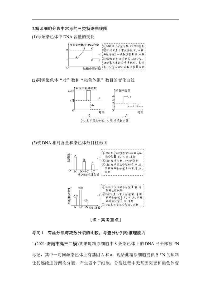 专题三细胞的生命历程（解析版）_新高考复习资料_2023年新高考复习资料_二轮复习_过二轮备战2023年高考生物二轮专题剖析与综合训练（新教材）