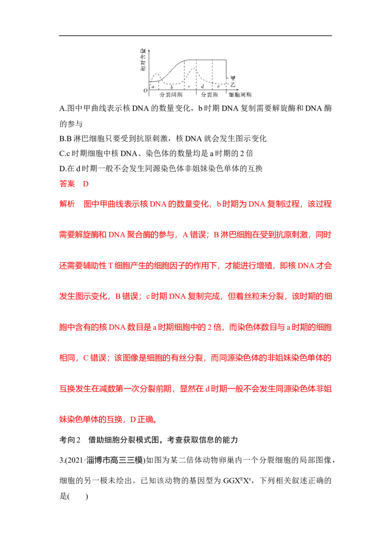 专题三细胞的生命历程（解析版）_新高考复习资料_2023年新高考复习资料_二轮复习_过二轮备战2023年高考生物二轮专题剖析与综合训练（新教材）