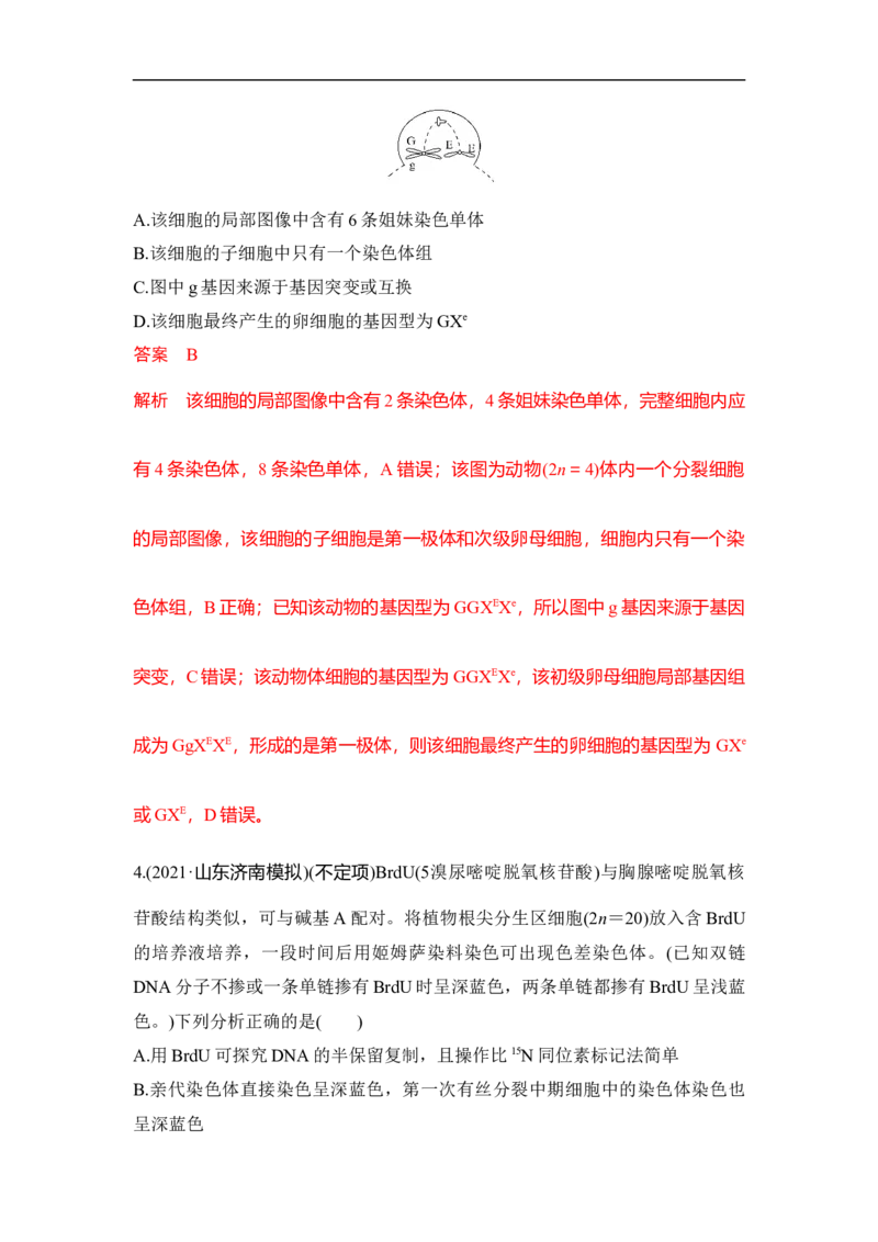 专题三细胞的生命历程（解析版）_新高考复习资料_2023年新高考复习资料_二轮复习_过二轮备战2023年高考生物二轮专题剖析与综合训练（新教材）