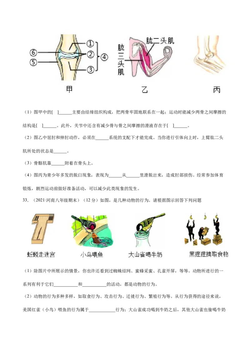 期中测试（A卷&middot;夯实基础）（原卷版）_初中全科电子版试卷练习试题_生物_生物8下练习_人教生物8年级下期中试卷10份